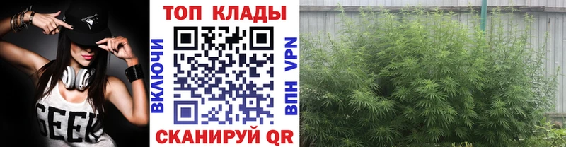 Купить закладку Нарьян-Мар Alpha-PVP АМФЕТАМИН Меф мяу мяу Гашиш Канабис