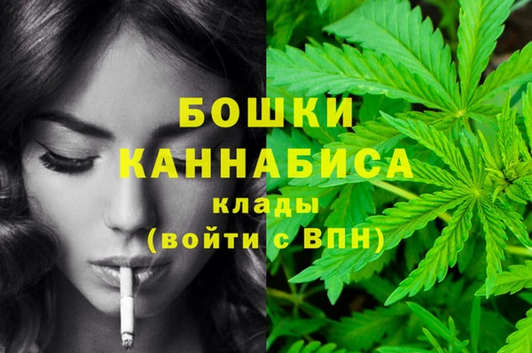 тгк Семилуки