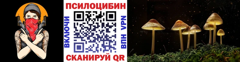 гидра   Нарьян-Мар  Галлюциногенные грибы MAGIC MUSHROOMS 